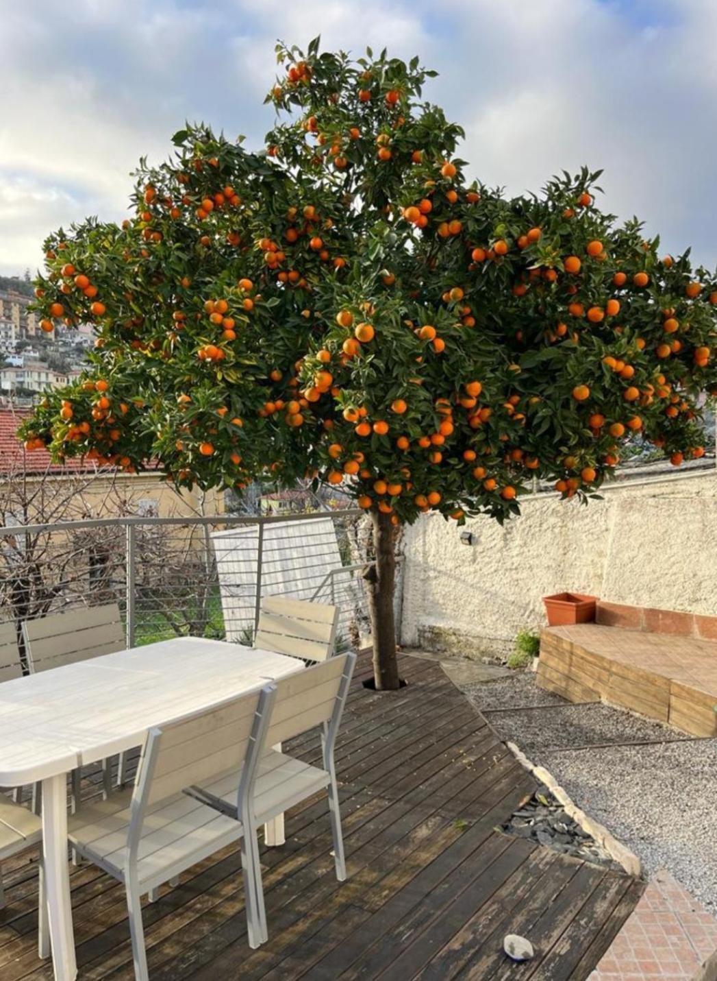 Villetta Fioregreco Санремо Экстерьер фото